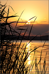 click for enlarge 1835 X 2748 545.7 Kb picture