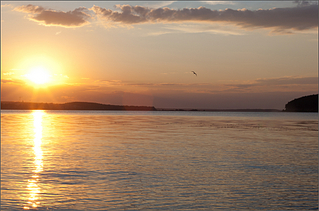 click for enlarge 1920 X 1268 187.2 Kb picture