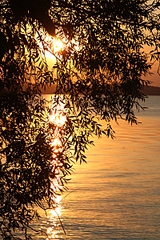 click for enlarge 400 X 600 222.6 Kb picture