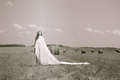 click for enlarge 1195 X 800 244.4 Kb picture