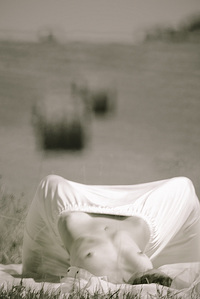 click for enlarge 800 X 1195 182.1 Kb picture