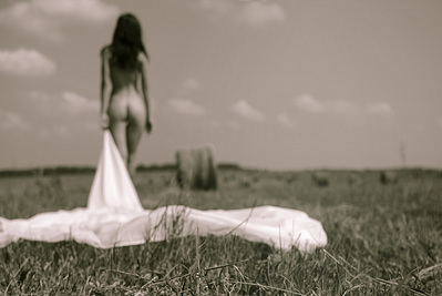 click for enlarge 1195 X 800 159.4 Kb picture