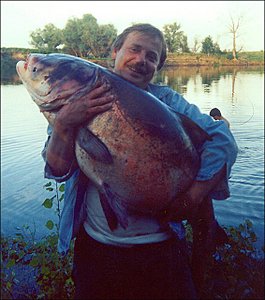 click for enlarge 566 X 640 74.9 Kb picture