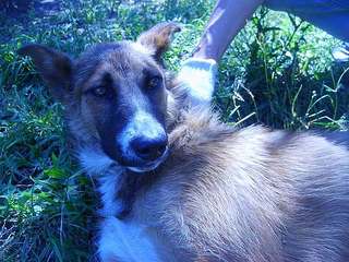 click for enlarge 604 X 453 50.3 Kb picture