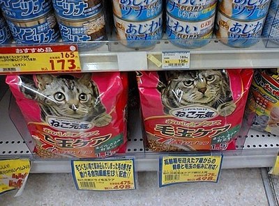 click for enlarge 604 X 447  84.1 Kb picture