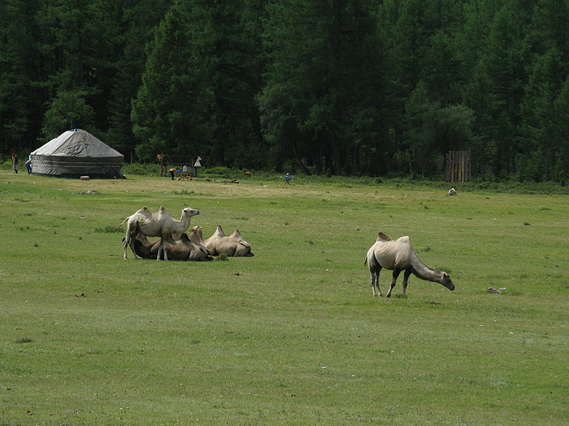 click for enlarge 900 X 675 263.0 Kb picture