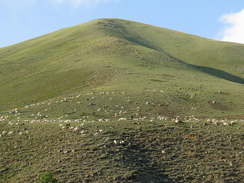 click for enlarge 900 X 675 374.0 Kb picture