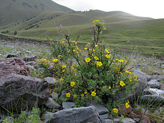 click for enlarge 900 X 675 351.8 Kb picture