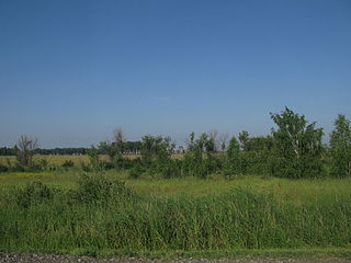 click for enlarge 900 X 675 229.5 Kb picture