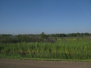 click for enlarge 900 X 675 204.8 Kb picture