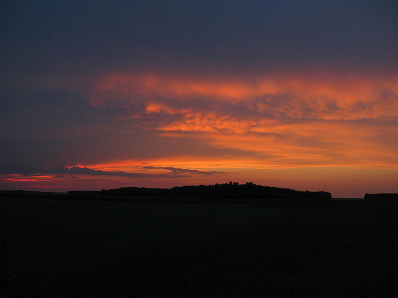 click for enlarge 900 X 675 115.2 Kb picture