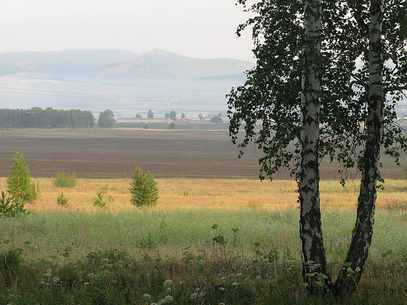 click for enlarge 900 X 675 308.0 Kb picture
