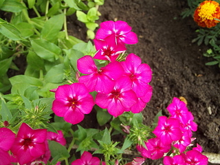 click for enlarge 1920 X 1440 216.9 Kb picture