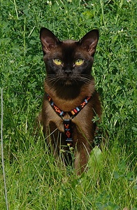 click for enlarge 670 X 1024 445.1 Kb picture