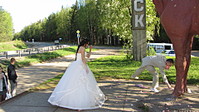 click for enlarge 1920 X 1079 660.3 Kb picture