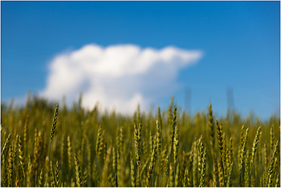 click for enlarge 1920 X 1282 156.7 Kb picture