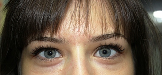 click for enlarge 1920 X 896 776.1 Kb picture