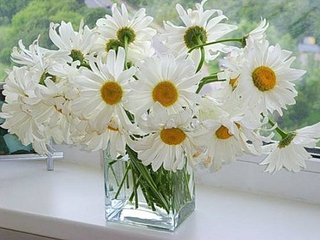 click for enlarge 500 X 375 37.9 Kb picture
