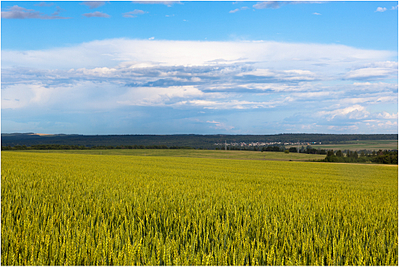 click for enlarge 1920 X 1282 366.6 Kb picture