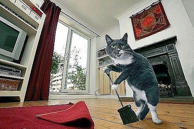 click for enlarge 550 X 366  54.6 Kb picture