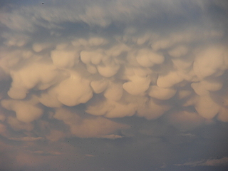 click for enlarge 1920 X 1440  59.4 Kb picture