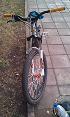 click for enlarge 781 X 1306 407.6 Kb picture