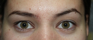 click for enlarge 1920 X 833 624.7 Kb picture