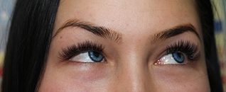 click for enlarge 1920 X 784 524.6 Kb picture