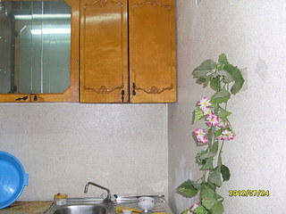click for enlarge 1024 X 768 291.8 Kb picture