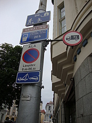 click for enlarge 1536 X 2048 276.1 Kb picture