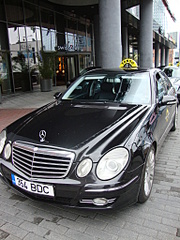 click for enlarge 1536 X 2048 403.2 Kb picture