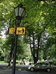 click for enlarge 1536 X 2048 718.4 Kb picture