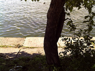 click for enlarge 1920 X 1440 712.5 Kb picture