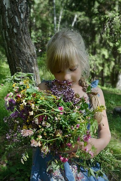 click for enlarge 402 X 604 76.5 Kb picture