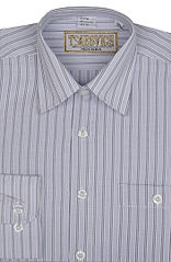 click for enlarge 98 x 150 102.4 Kb picture