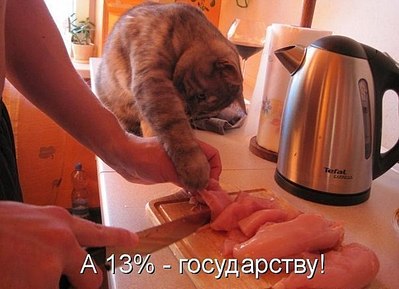 click for enlarge 604 X 437 50.8 Kb picture