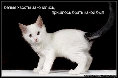 click for enlarge 500 X 333 22.0 Kb picture