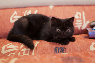 click for enlarge 1204 X 800 182.5 Kb picture