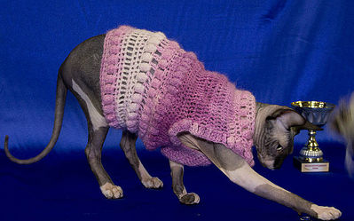 click for enlarge 640 X 399 52.0 Kb picture