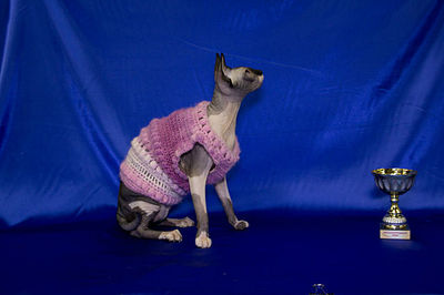 click for enlarge 640 X 426 30.8 Kb picture