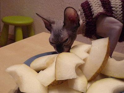 click for enlarge 640 X 480 38.8 Kb picture