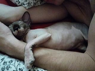 click for enlarge 640 X 480 34.4 Kb picture