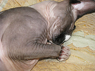 click for enlarge 640 X 480 78.6 Kb picture