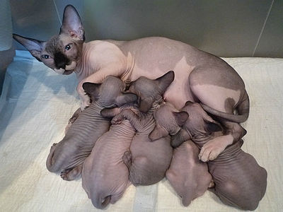 click for enlarge 640 X 480 44.8 Kb picture