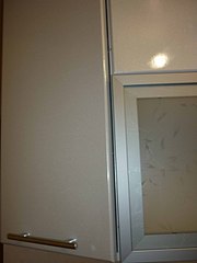 click for enlarge 1920 X 2560 354.6 Kb picture