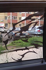 click for enlarge 1728 X 2592 937.4 Kb picture