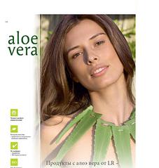 click for enlarge 800 X 844 63.6 Kb picture