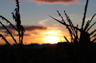 click for enlarge 1666 X 1111 534.5 Kb picture