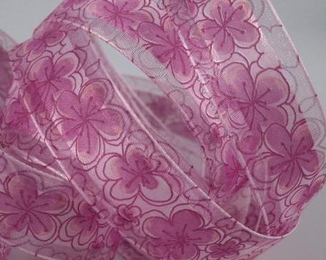 Латвийская красавица показала розовую дырку со всех ракурсов