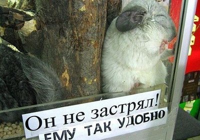 click for enlarge 604 X 423  71.0 Kb picture